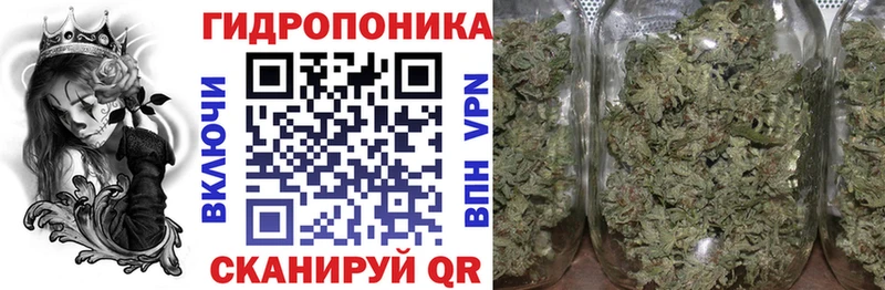 Купить закладку Амфетамин  Псилоцибиновые грибы  МАРИХУАНА  APVP  Мефедрон  Пугачёв