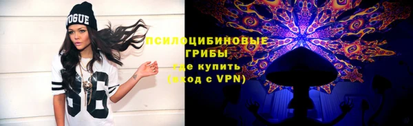 дмт Зеленодольск