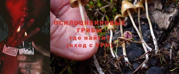 дмт Зеленодольск