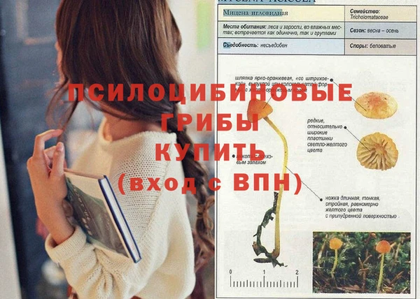 ALPHA-PVP Зерноград