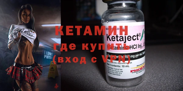 прущие грибы Елизово